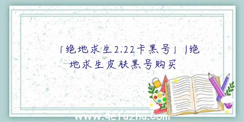 「绝地求生2.22卡黑号」|绝地求生皮肤黑号购买